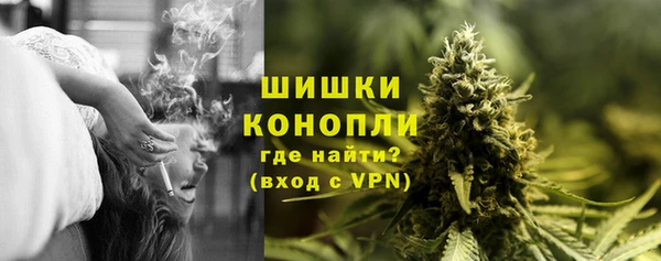индика Магас