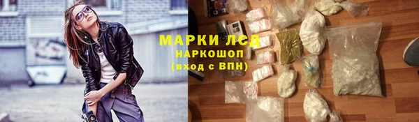 индика Магас