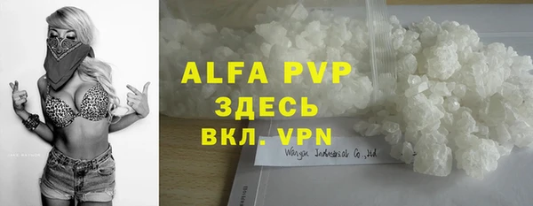 индика Магас