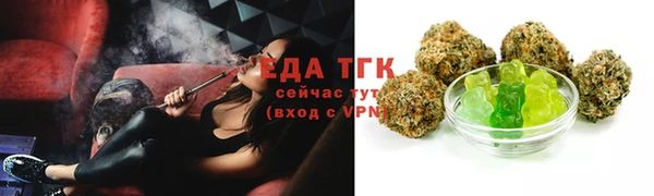 индика Магас