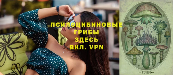 ПСИЛОЦИБИНОВЫЕ ГРИБЫ Магадан