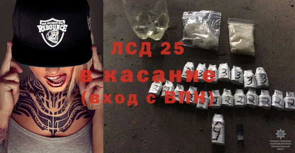 индика Магас