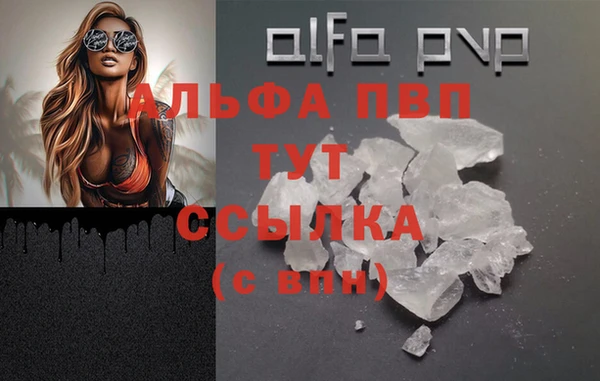 ПСИЛОЦИБИНОВЫЕ ГРИБЫ Магадан