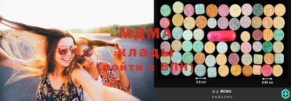 индика Магас
