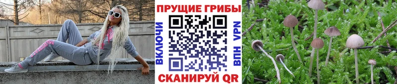 Галлюциногенные грибы GOLDEN TEACHER  где можно купить   Сольцы 